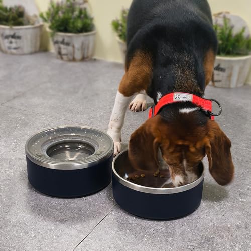 WENBOKMIN Stainless Steel Dog Water Bowl,Slow Dog Bowls with Non Slip Bottom, No Spill Detachable and Easy to Clean, Keep Xerosis Pilorum, 64oz, Black - color: Black