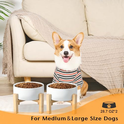SPUNKYJUNKY Ceramic Elevated Dog Bowls 2 Pack - 6.1inch Raised Dog Bowls with Non-Slip Wooden Stand for Medium Dogs Dishwasher Safe(White,28.7OZ*2) - color: White, size: Medium - 3.6 CUPS*2