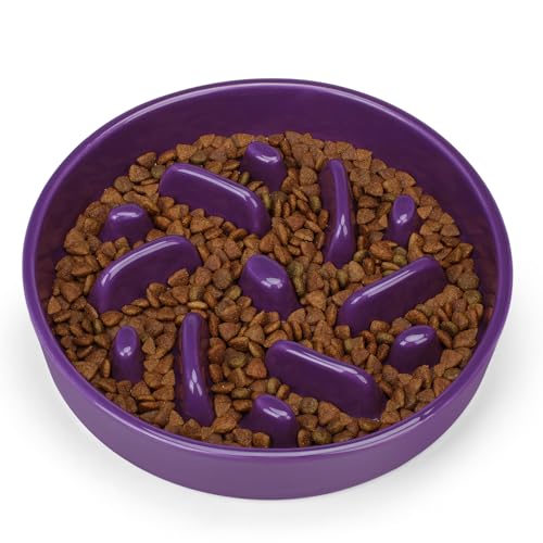 Ceramic Slow Feeder Dog Bowl, 2 Cups Dog Food Bowls for Small, Medium, and Large Breed, Anti-Slip Puzzle Food Dish to Slow Down Eating (Deep Purple, 2 Cups) - color: Maze - Deep purple