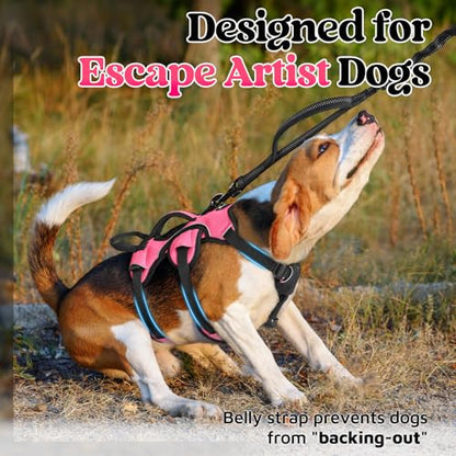 rabbitgoo Escape Proof Dog Harness, Soft Padded Full Body Pet Harness, Reflective Adjustable No Pull Vest with Lift Handle and Leash Clip for Large Dogs Walking Hiking Training, S, Pink - color: Pink, size: Small (Pack of 1)