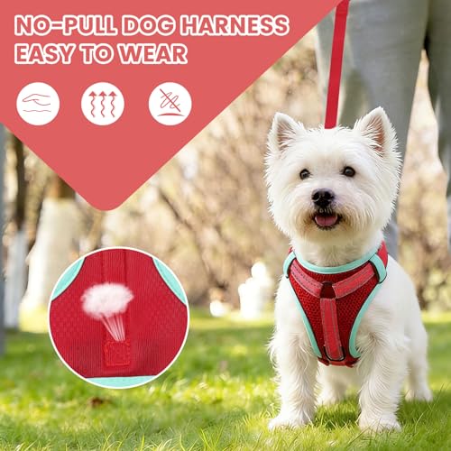 No-Pull Dog Harness with Dog Leash Breathable Mesh Adjustable Soft Padded Pet Vest Reflective for Small/Medium/Large Dogs Walking, Training - color: Red, size: XL