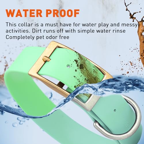 Viper Biothane Heavy Duty Waterproof Dog Collar Strong Coated Nylon Webbing w/Solid Brass Hardware Odor-Proof Easy to Clean High Performance Fits Small Medium or Large Dogs, Sea Foam Green