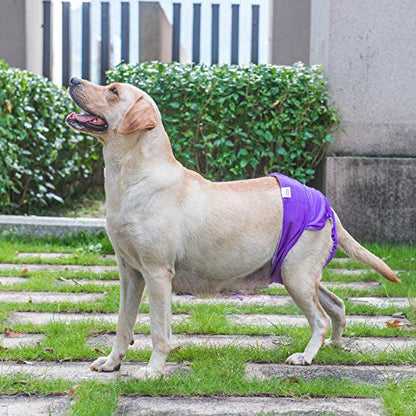 CuteBone Dog Diapers Female Washable Small Medium Large 3 Pack Reusable Doggie Diapers Puppy Period Pants for Doggy Heat Cycle Peeing - size: XL