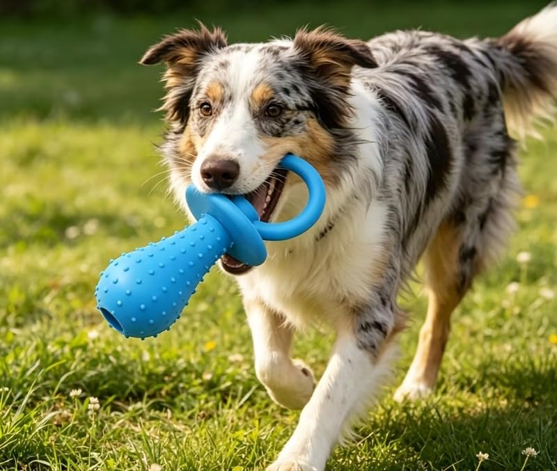 Molar Clean Teeth Rubber Toy, Clean Teeth Rubber Pacifier Chew Toy, Bell Chewing Playing Training Toys, for Pet Puppy Dog Cat (Blue)