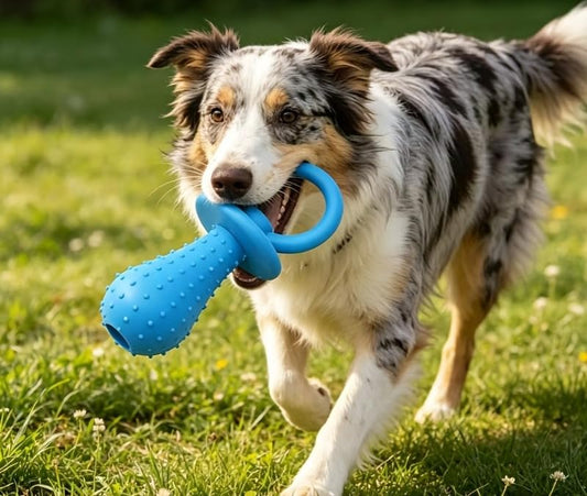 Molar Clean Teeth Rubber Toy, Clean Teeth Rubber Pacifier Chew Toy, Bell Chewing Playing Training Toys, for Pet Puppy Dog Cat (Blue)