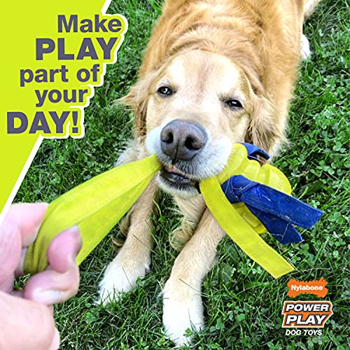 Nylabone Power Play Felt Football Gripz Fetch Toy, Squeaky Ball Chew Toy for Dogs, Medium (1 Count) (Pack of 4) - size: Medium (Pack of 4)