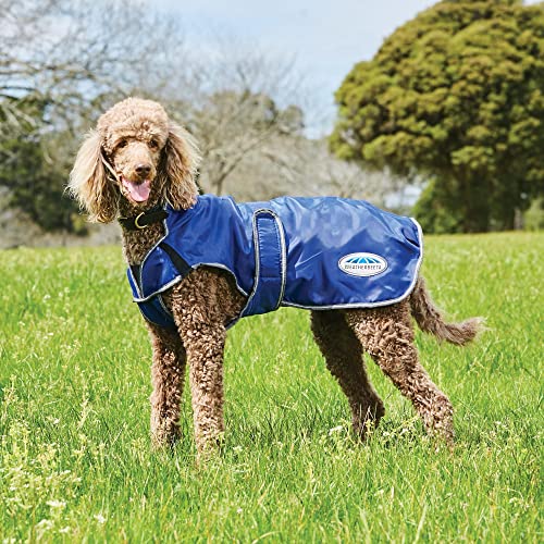 WeatherBeeta ComFiTec Windbreaker Free Deluxe Dog Coat, Olive Green/Burgundy/White, 12" - color: Olive Green/Burgundy/White, size: 12"