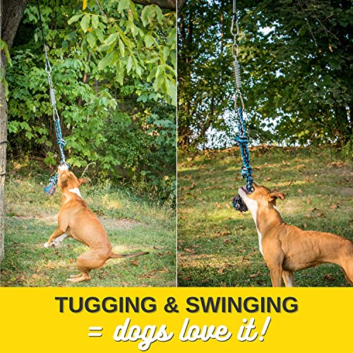 YES4QUALITY Flirt Pole for Dogs, 2 Durable Spring Poles with Strong Dog Rope Toy, Heavy Duty Lure Pole for Dogs of Any Size, Dog Toy for Fun Obedience Training & Exercise, Pull & Tug of War Toy - size: Spring Pole
