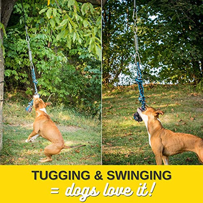 YES4QUALITY Flirt Pole for Dogs, 2 Durable Spring Poles with Strong Dog Rope Toy, Heavy Duty Lure Pole for Dogs of Any Size, Dog Toy for Fun Obedience Training & Exercise, Pull & Tug of War Toy - size: Spring Pole