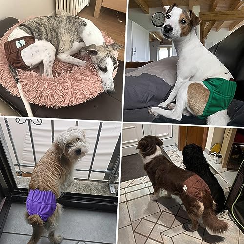 Female Dog Diapers Small Breeds, 3 Pack Washable Dog Period Panties for Small to Medium Dogs, Reusable Doggy Nappies, Pet Sanitary Underwear in Heat/Incontinence, Waist Adjustable, XXL - size: XXL