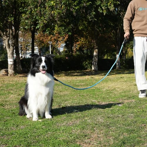 ZALER Rope Dog Leash, 4/5/6/10/15/20/30/50 Foot Reflective Dog Leashes with Carabiner, Heavy Duty Pet Lead for Large and Medium Dogs (5FT, Blue) - color: Blue, size: 5FT*1/2"