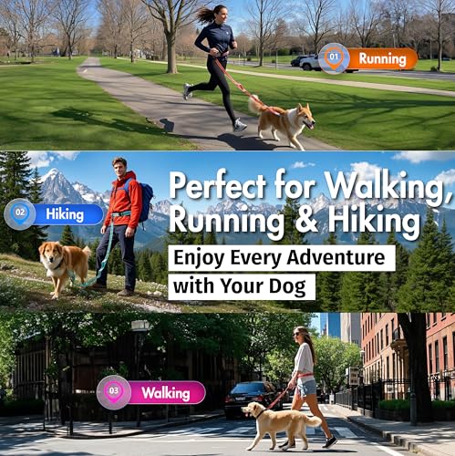 Hands Free Dog Leash with Waist Belt Lifetime Replacement, Dual Handle Bungee Leash for Running, Jogging, Hiking and Walking, for Medium and Large Dogs 5318 - color: Grey