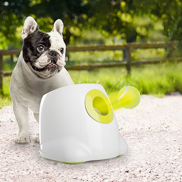 AFP Automatic Ball Launcher Dog Ball Thrower Machine Interactive Hyper Fetching Toy for Large Dogs, 3 Tennis Balls Included, Max Version - size: Mini Size