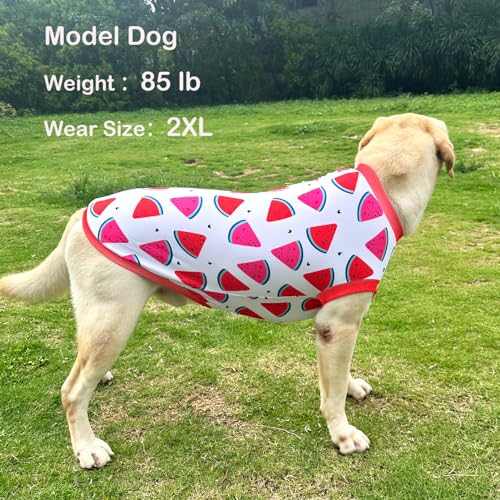 Dog Sleeveless T Shirt Fun Fruit Prints Pet Vest Shirt Soft Stretchy Summer Clothes for Large Dogs Boys Girls Clothes (X-Large,Watermelon) - color: Watermelon, size: XL
