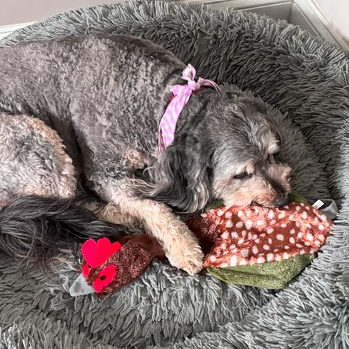 SPOT Skinneeez Crinklers Bird- Stuffing-Free Dog Toy with Crinkle and Squeaker Sounds, Durable Tug Toy for Moderate Chewers, Ideal for Medium and Large Dogs, Assorted Styles, 23 in - style: Large Bird