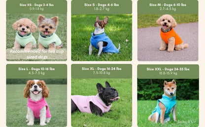 JACKO & CO - Fleece Vest Dog Sweater with Leash Ring - Soft, Warm & Lightweight Pullover Coat for Small & Medium Dogs, Puppies & Cats - Cozy Fall/Winter/Spring Pet Jacket (Turquoise, X-Small 2-4lbs) - color: Turquoise, size: XS (2-4lbs)