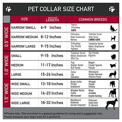 Dog Collar Martingale Pluto 4 Poses Landscape Blue Green 15 to 26 Inches 1.0 Inch Wide - color: Multicolor, size: 1" W-15-26" Neck-Large