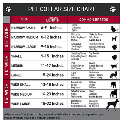 Dog Collar Martingale Pluto 4 Poses Landscape Blue Green 15 to 26 Inches 1.0 Inch Wide - color: Multicolor, size: 1" W-15-26" Neck-Large