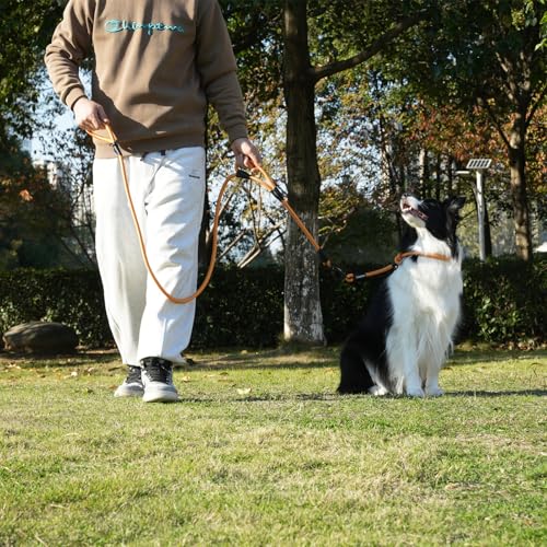 Rope Dog Leash with Two Handles, 6 Foot Heavy Duty Dog Leash with Aviation Aluminum Auto Locking Carabiner, Strong Nylon Pet Lead for Small, Medium, Large Dogs (Yellow, 6FT-Two Handle) - color: Yellow, size: 6 Foot Two Handle