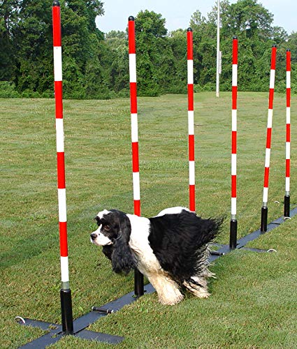 DogSport Dog Agility Weave Poles with Adjustable Spacing (Black) - size: 12 Poles