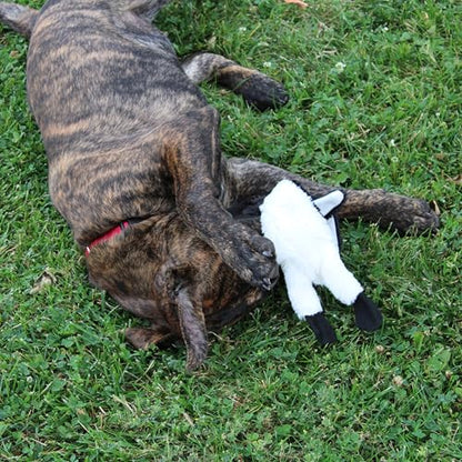 SPOT Skinneeez Stuffing Free Arctic Animal Dog Toy - with Squeaker in Head and Tail, Stuffingless Design is Great for Moderate Chewers, Tug Toy for Small Puppies & Dogs - 15in, Assorted Styles, 1 Toy - size: Small/15 Inch (Pack of 2)