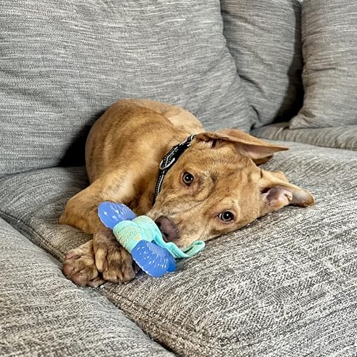 Nylabone Freezer Bone Puppy Chew Toy, Soothing Teething Toys for Puppies, Rubber & Terry Cloth, Peanut Butter Flavor, Small Dogs - Up to 25 lbs., 1 Count - size: Small