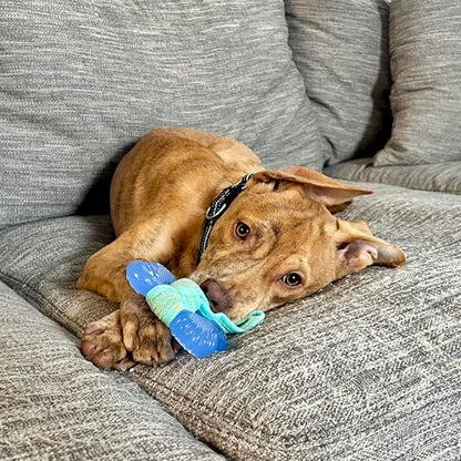 Nylabone Freezer Bone Puppy Chew Toy, Soothing Teething Toys for Puppies, Rubber & Terry Cloth, Peanut Butter Flavor, Small Dogs - Up to 25 lbs., 1 Count - size: Small