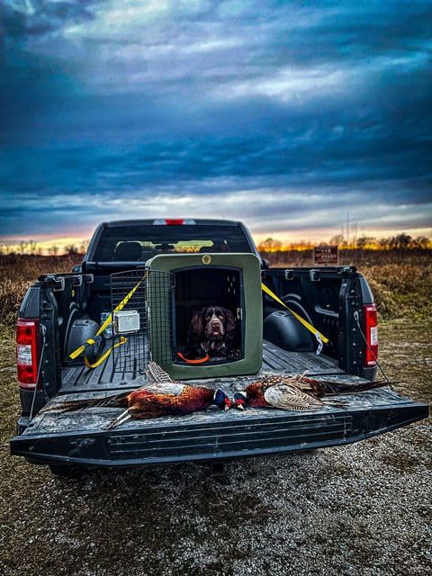 dakota283 Dakota 283 Large Kennel -Frame Door- Olive - color: Olive, size: Large
