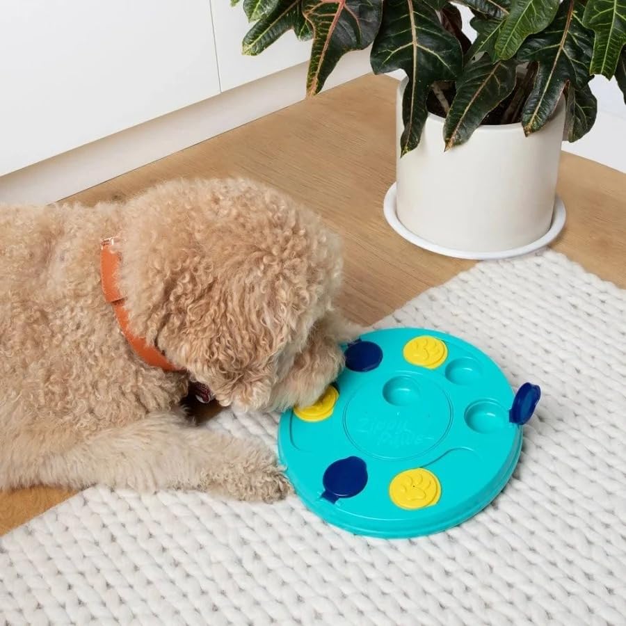 ZippyPaws - SmartyPaws - Puzzler Dog Toy - 3 in 1 Interactive Dog Toy Puzzle, Teaches Problem Solving Skills, Teal - color: Teal