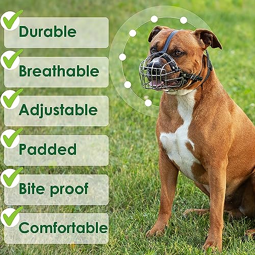 BRONZEDOG Pitbull Dog Muzzle Metal Mask Amstaff Wire Basket Pit Bull Adjustable Leather Straps for Large Dogs (Gold) - color: Leather, Gold
