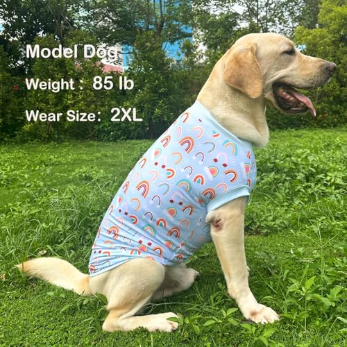 Dog Sleeveless T Shirt Blue Rainbow Prints Vest Shirt Soft Stretchy Summer Clothes for Large Dogs Boys Girls Shirt X-Large,Rainbow - color: Rainbow, size: XL
