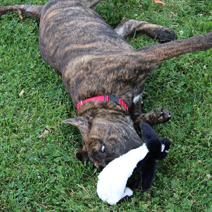 SPOT Skinneeez Stuffing Free Arctic Animal Dog Toy - with Squeaker in Head and Tail, Stuffingless Design is Great for Moderate Chewers, Tug Toy for Small Puppies & Dogs - 15in, Assorted Styles, 1 Toy - size: Small/15 Inch (Pack of 2)