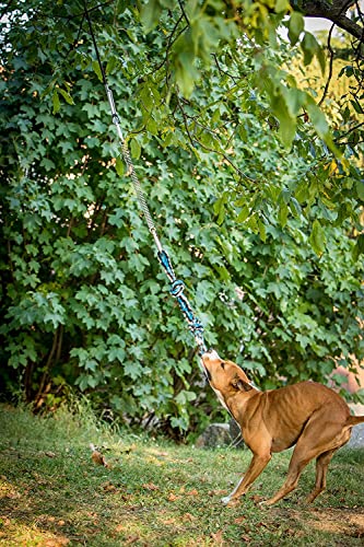 YES4QUALITY Flirt Pole for Dogs, 2 Durable Spring Poles with Strong Dog Rope Toy, Heavy Duty Lure Pole for Dogs of Any Size, Dog Toy for Fun Obedience Training & Exercise, Pull & Tug of War Toy - size: Spring Pole