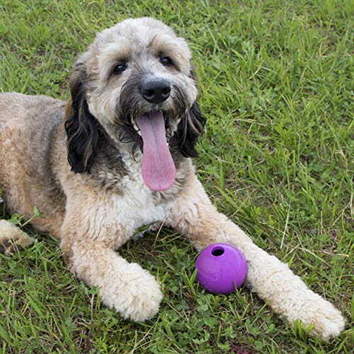 Chew King Fetch Balls Extremely Durable Natural Rubber Toy 4 inch, 2 Pack (CM-10031-CS01) - color: 2-Pack (4" Balls)