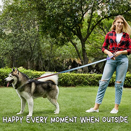 Roses&Poetry Personalized Samll Dog Collar and Leash Set, Puppy Reflective Dog Collars and Leashes with Gradient Azure, Adjustable Durable Pet Collars Leash for Small Dogs （Azure-S - color: Azure, size: S