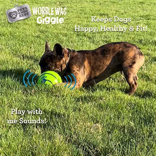 Wobble Wag Giggle Ball, Interactive Dog Toy, Fun Giggle Sounds When Rolled or Shaken, Pets Know Best, As Seen On TV - style: Original