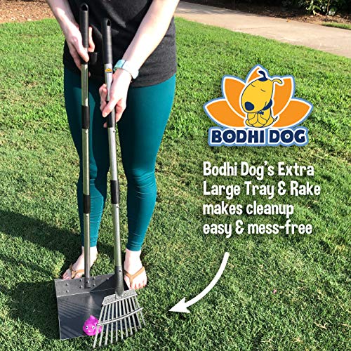 Bodhi Dog Pooper Scooper for Large Dogs - Heavy Duty Metal Poop Scoop w/Long Handle Tray & Rake - Dog Poop Scooper for Yard, Grass, Street, Gravel & Outdoor Areas - Pet Waste Cleanup Tool - size: Extra Large