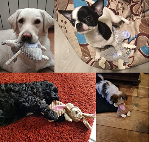 Comtim No Stuffing Dog Toys with Squeaker, Durable Dog Chew Toys, Small Dogs & Puppies, Rabbit & Elephant - size: Rabbit & Elephant