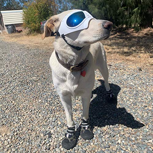 Namsan Dog Goggles for Large Dogs, Wide Snout & Soft Frame, Tactical Driving Sunglasses for Dogs Medium to Large Breed, Anti-UV Dog Eye Protection, Windproof Dustproof, Adjustable, White - color: (Large)Blue Lens