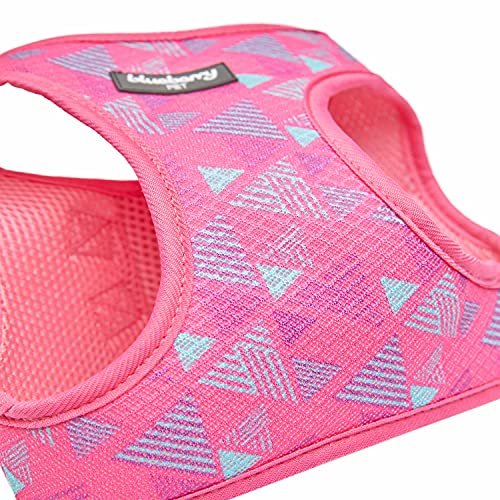 Blueberry Pet Southwestern Tribal Triangles French Pink Dog Harness Vest, XS, Adjustable Harnesses for Puppies Small Dogs - color: French Pink, size: (15 1/2"-16 1/2") Chest Girth (Pack of 1)