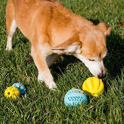 Youngever 2 Pack Dog Ball Toys for Pet Tooth Cleaning, Chewing, Fetching, Treat Ball Food Dispensing Toys (Large 2.75 Inch) - size: Large 2.75 inch
