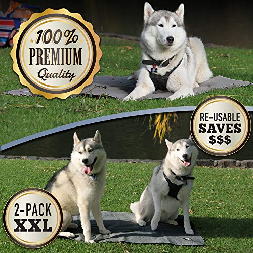 Washable Pee Pads for Dogs XXL (2 Pack), Reusable Puppy Training Pads, Ultra Absorbent & Waterproof Pet Mat for Senior Dogs, Non-Slip, Floor & Furniture Protector (36"x48") by Trendy Den Creations