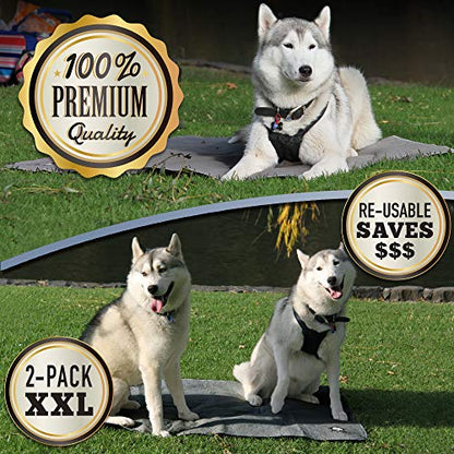 Washable Pee Pads for Dogs XXL (2 Pack), Reusable Puppy Training Pads, Ultra Absorbent & Waterproof Pet Mat for Senior Dogs, Non-Slip, Floor & Furniture Protector (36"x48") by Trendy Den Creations