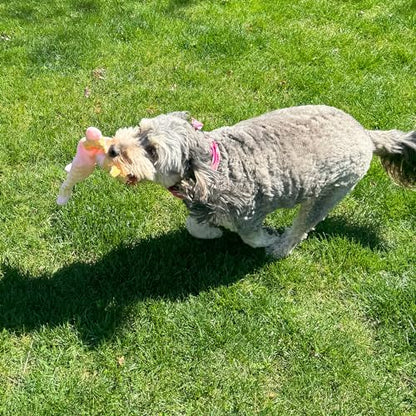 SPOT Soothers Crinkle Paper Dog Toy - 13in Stuffing-Free Calming Plush with Crinkle, Lavender Scent & Squeaker, Anxiety Relief for Dogs - 1 of 3 Animal Designs, Sent at Random