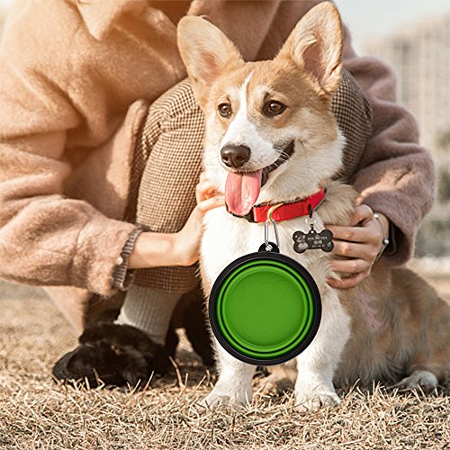 Guardians Large Collapsible Dog Bowls, 34oz Travel Water Food Bowls Portable Foldable Collapse Dishes with Carabiner Clip, 2 Pack (Green+Blue) - color: 34oz-Green&Blue