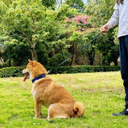 Waterproof Dog Collar Durable and Easy to Clean Rubber Dog Collars Odor-Proof Fits Small Medium Large Dogs (Blue, Medium (11.8-18.5” Neck)) - color: Blue, size: Medium (11.8 -18.5” Neck)