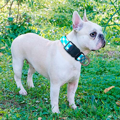 Ladoogo Reflective Dog Collar Padded with Soft Neoprene Breathable Adjustable Nylon Dog Collars for Small Medium Large Dogs (X-Small (Pack of 1), Vivid Blue Plaid Collar+Leash) - color: Vivid Blue Plaid Collar+Leash, size: X-Small (Pack of 1)