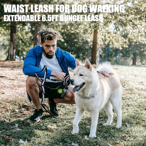 Double Dog Leash - Hands Free Dog Leash Crossbody & Waist for Dog Walking - Tangle-Free Bungee & Padded Handles for Medium & Large Dogs, Black
