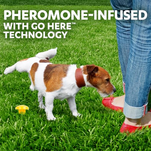 Simple Solution Pee Post Outdoor Dog Training Aid, 13-Inch Pheromone Infused Yard Marking Stake for Puppy Potty Training, Housebreaking, Lawn and Garden Dog Pee Attractant, Reusable Potty Helper - size: 13 INCH