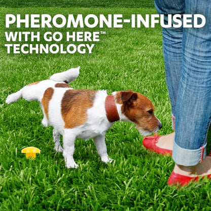Simple Solution Pee Post Outdoor Dog Training Aid, 13-Inch Pheromone Infused Yard Marking Stake for Puppy Potty Training, Housebreaking, Lawn and Garden Dog Pee Attractant, Reusable Potty Helper - size: 13 INCH